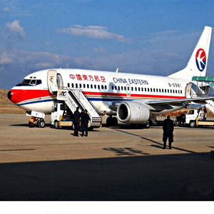沈阳桃仙航空物流航空快运业稳步发展的原因是什么？